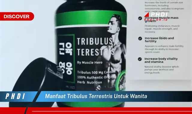 manfaat tribulus terrestris untuk wanita