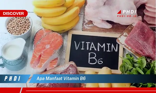 apa manfaat vitamin b6