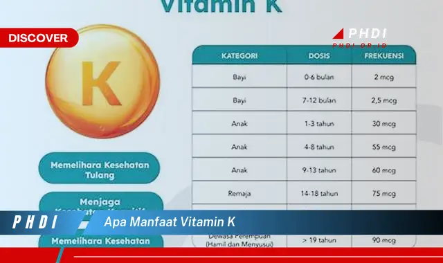 apa manfaat vitamin k