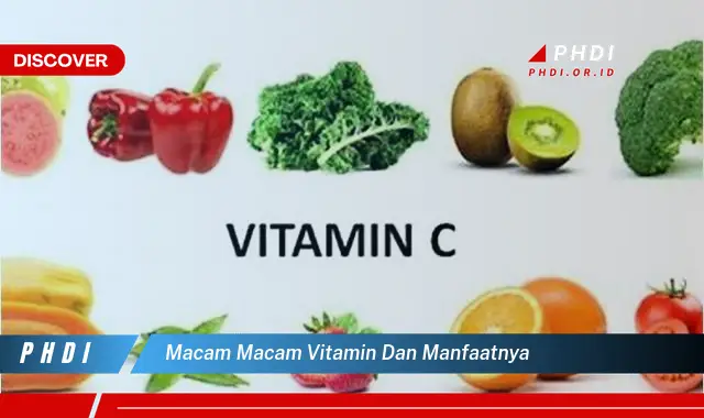 macam macam vitamin dan manfaatnya