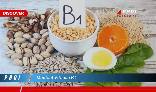 manfaat vitamin b 1