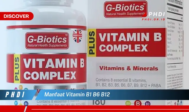 manfaat vitamin b1 b6 b12