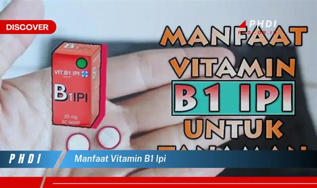 manfaat vitamin b1 ipi