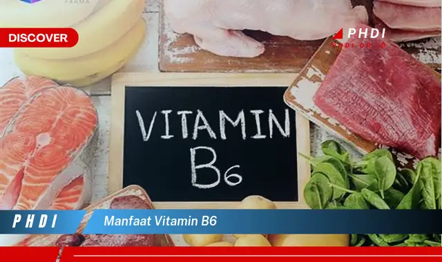 manfaat vitamin b6