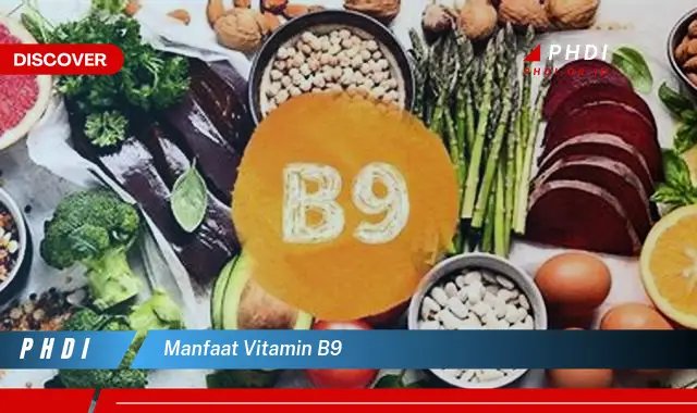 manfaat vitamin b9