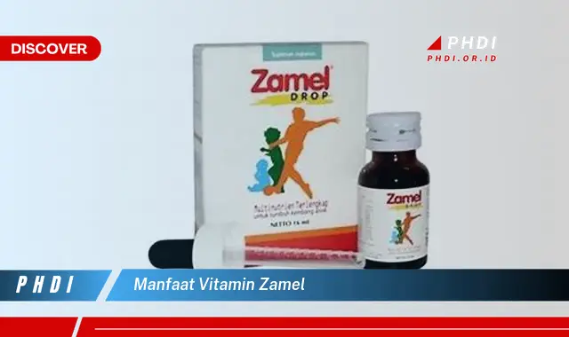 manfaat vitamin zamel