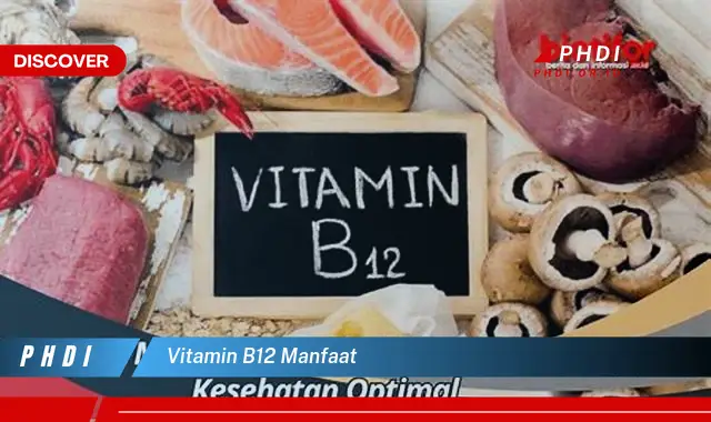 Temukan Manfaat Vitamin B12 yang Masih Jarang Diketahui
