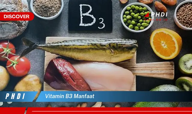 vitamin b3 manfaat