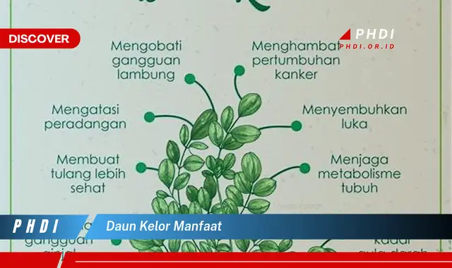 daun kelor manfaat