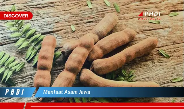 manfaat asam jawa