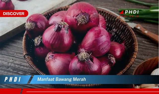 manfaat bawang merah