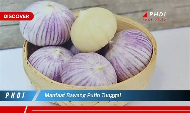 manfaat bawang putih tunggal