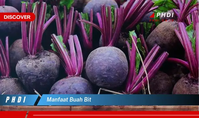 manfaat buah bit