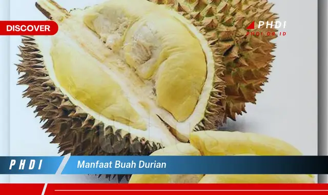 Intip 5 Manfaat Buah Durian yang Wajib Kamu Tahu – Manfaat