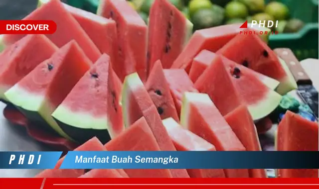 manfaat buah semangka