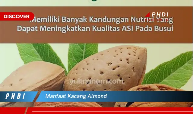 Temukan 7 Manfaat Kacang Almond yang Bikin Kamu Penasaran