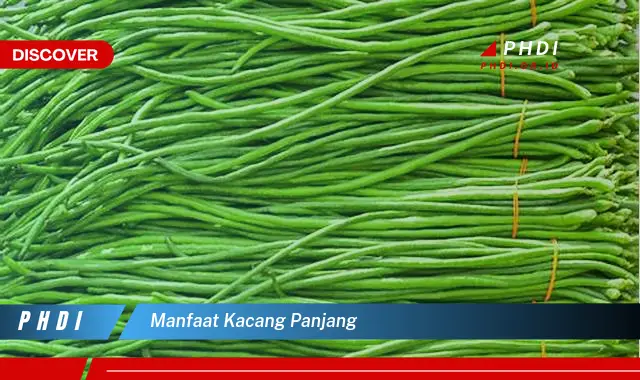 manfaat kacang panjang