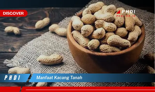 manfaat kacang tanah