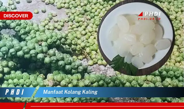 manfaat kolang kaling