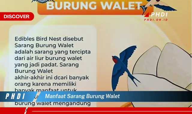 manfaat sarang burung walet