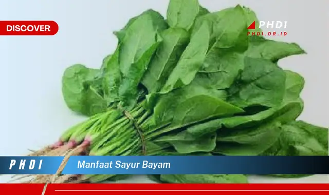 manfaat sayur bayam