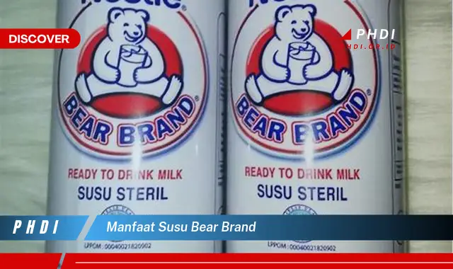 Temukan 7 Manfaat Susu Bear Brand yang Wajib Kamu Intip