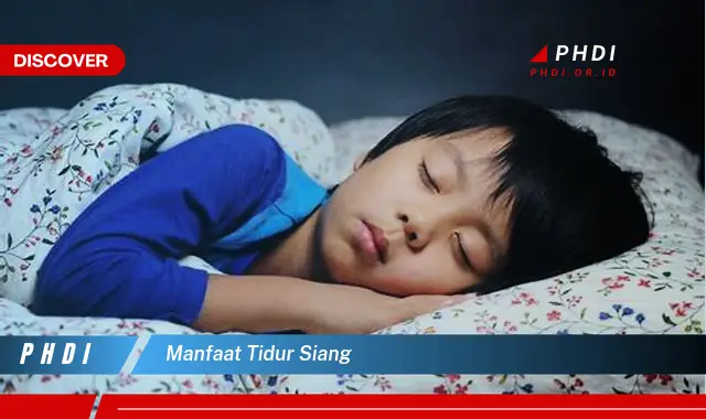 manfaat tidur siang