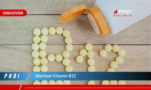 manfaat vitamin b12